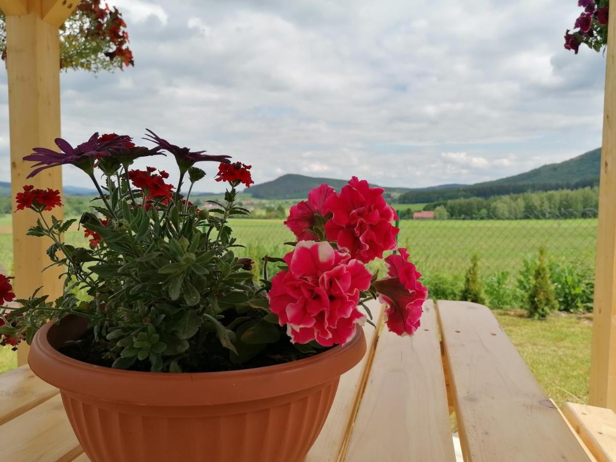 Domki Pod Derkaczem Radkow Buitenkant foto